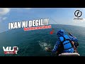 IKAN ni DEGIL!! - VLUQ#172 -  Kayak Fishing Malaysia