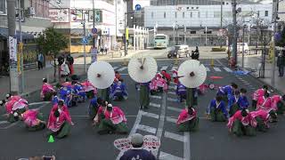 藤枝駅前商店街イベント　お茶ノ子祭々　繫桜