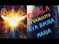 Essala Ey'ekirooto kya Bikira Maria🙏.@frankfurtugmawanda3484