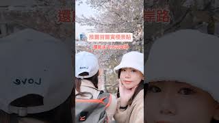 🌸【韓國首爾賞櫻攻略】⁣🌸推薦超棒的首爾市區賞櫻景點：良才川