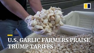 California garlic growers applaud Trump tariff hikes amid US-China trade war