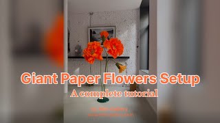 Giant paper Flowers Setup: A Complete Tutorial