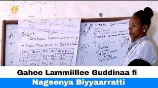 Gahee Lammiillee Guddinaa fi Nageenya Biyyaarratti