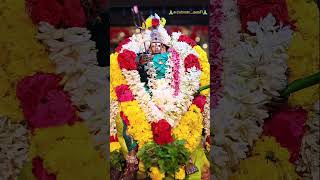 Sri Alaguparvathi Amman, Surandai