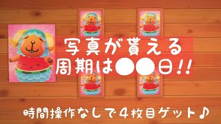 【あつ森】４枚目の写真ゲット!!写真を貰えるまでは●●日かかる!!時間操作なしで検証!!【時間操作なし】