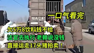 【一口气看完】欠5万8饮料钱不给，老赖说没钱，法官去执行，直接扣走17头猪拍卖！#真实事件 #老赖 #执行现场