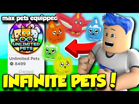 BUYING THE INFINITE PET GAMEPASS IN CLICKER MADNESS FOR 8000 ROBUX!! (Roblox)