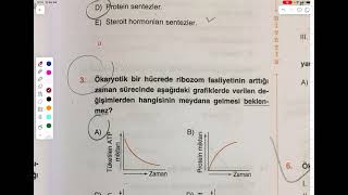 TANEMCİĞİMİN SORULARI VE CEVAPLARI