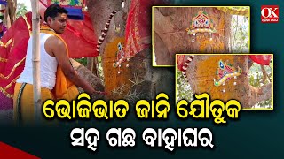 ବରଗଛ ସହିତ ଓଷସ୍ତ ଗଛ ବାହାଘର | Odisha Khabar