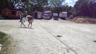 M4H04473.MP4