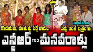 కొడుకులు, కూతుళ్లు పేర్లే కాదు..ఎన్టీఆర్ మనవరాళ్లు పేర్లు ఎంత చిత్రంగా|Sr.NTR GrandDaughters Names