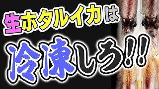 【 初物 ！】生ホタルイカ を刺身と しゃぶしゃぶ で食べてみた【 富山県・魚料理・せり人ムタロー】