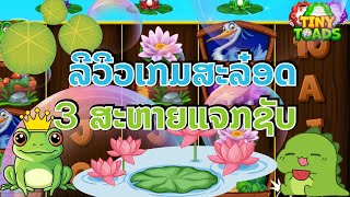 ສະລ໋ອດTinyToads ສະລ໋ອດpp ສະລ໋ອດແຕກເປັນຫມື່ນ