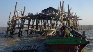 Traditional Sanda fishing technique disappearing in Myanmar’s Ayeyarwady Delta | Radio Free Asia