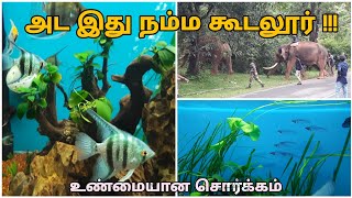 உண்மையான சொர்க்கம் #கூடலூர்  | GENEPOOL  |  4K VIDEO | FINDTACKLE