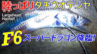 [タチウオ釣り] 陸っぱりで指6本・138cmのスーパードラゴン現る！