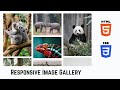 Learn to Create Responsive Image Gallery in 5 Mins using HTML and CSS | Tutorial
