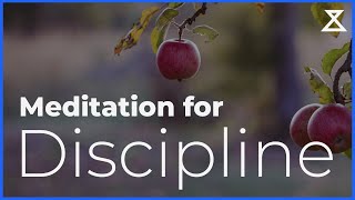Meditation to Be More Disciplined