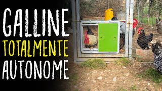 PORTA AUTOMATICA per il recinto delle GALLINE