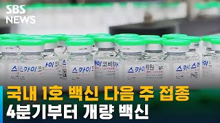 국내 1호 백신 다음 주 접종…4분기부터 개량 백신 / SBS