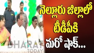 TDP Shock | Venkatagiri Raja's Joins YSRCP | Nellore | Bharat Today