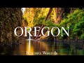 Oregon 4K - Majestic Fall Colors, Scenic Forest Trails, and Cascading Waterfalls - 4K VIDEO