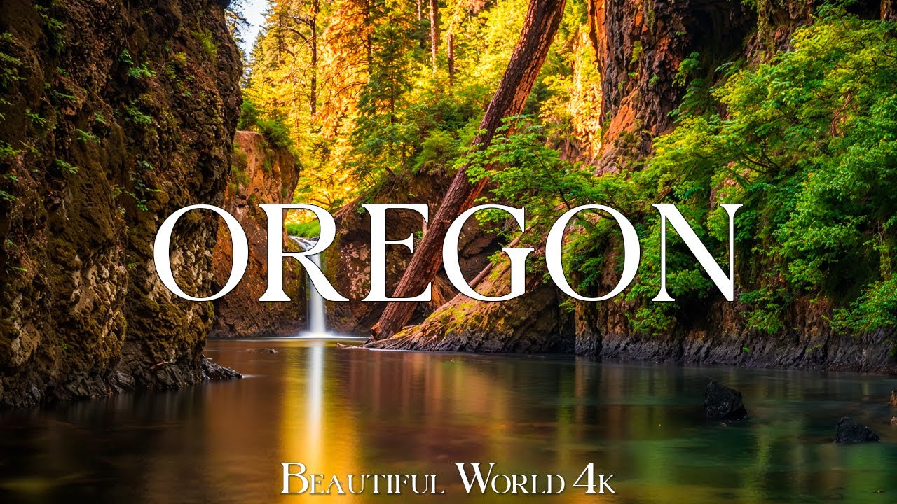 Oregon 4k Majestic Fall Colors Scenic Forest Trails And Cascading