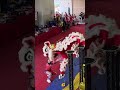 Fall and Rise | Lion dance