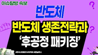 반도체 생존전략과 '후공정 패키징'