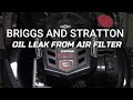 Briggs and Stratton oil leak from air filter