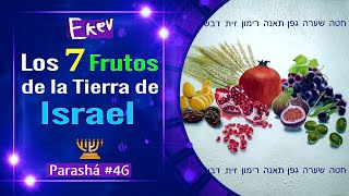 Los 7 Frutos de Israel y SU GRAN ENSEÑANZA!! │ Parashat  EKEV │