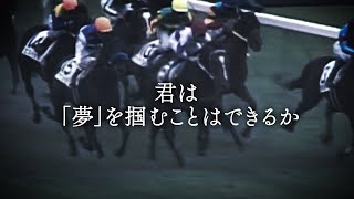 【競馬MAD】第19弾　夢