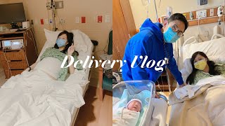 我的生产vlog｜情人节宝宝｜我的小新出生了｜push十五分钟超快顺产｜生命中最好的情人节礼物