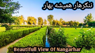 Nangarhar Jalalabad | Farm e Hada Beauty | Jalalabad Nangarhar Afghanistan | Village Life