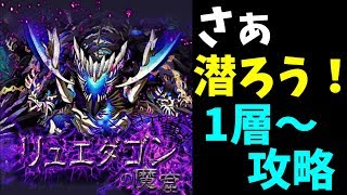 リュエダゴンの魔窟に潜るｯ…！-サモンズボード攻略-