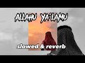 Allahu Ya'lamu | slowed & reverb | nasheed ❤️   #nasheed #almuqit #nasheedlofi #slowed