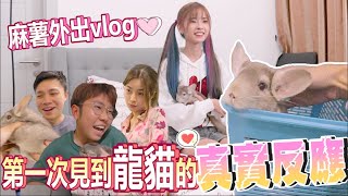 【宠物】龍貓外出vlog! 大家第一次見到龍貓的真實反應！