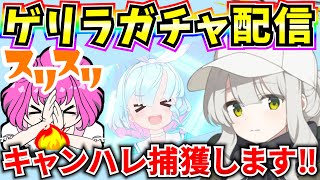 【ブルアカ】ゲリラガチャ配信‼キャンプハレ確保するぞおおおおおお🔥【BlueArchive】【ブルーアーカイブ】