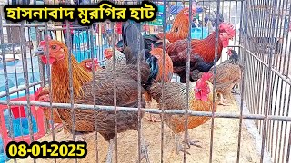 08-01-2025 হাসনাবাদ মুরগির হাট | Hasnabad murgir hat | দেশি মুরগির হাট | কম দামে মুরগি | কবুতরের হাট