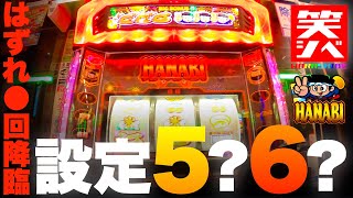 【HANABI実践】設定５？６？はずれ○回降臨！【わらしべ】