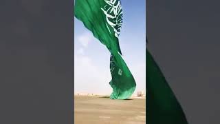 flag raised by helicopter | eid miladun nabi #shorts #short #islam