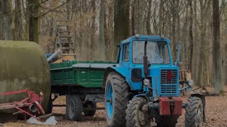 Здали ПШЕНИЦЮ!!!Роботи багато а рук не вистачає / ТЕПЛИЦЯ окупляє вкладення!?