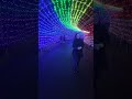 フラワーパークかごしま イルミネーション2024 2024年のテーマは「虹」～七色にきらめく光の庭園～ illuminations chrismas