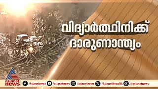 ആന പിഴുതെറിഞ്ഞ പന വീണ് വിദ്യാർത്ഥിനി മരിച്ചു | Accident | Kothamangalam | Wild elephant