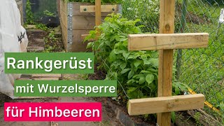 Rankgerüst mit Wurzelsperre für Himbeeren oder Brombeeren 💚 DARAUF solltest DU achten❕