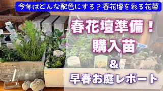 《今が植え時！春花壇を彩る花苗８種》植えるだけでお庭がオシャレになる花苗達♪／こぼれ種に異常事態。。(/_;)／花みどりマーケット／園芸ネット