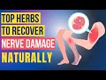 Top 5 Amazing Herbs For Nerve Damage