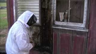 University Of Louisiana At Lafayette Bee Removal