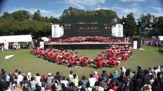 名古屋学生チーム「鯱」2017豊川おいでん祭_メイン