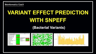 Variant Annotation and effect prediction with snpeff